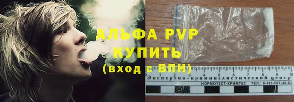 прущие грибы Каменск-Шахтинский
