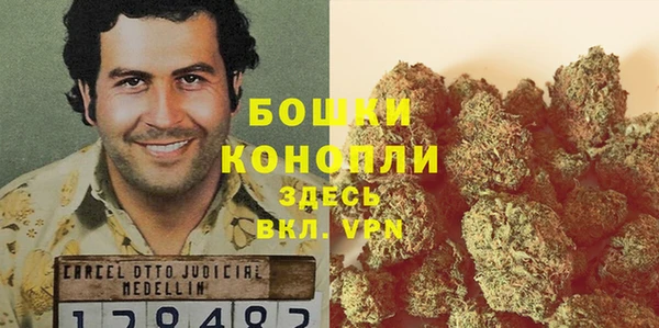 мет Касимов