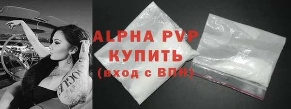 прущие грибы Каменск-Шахтинский