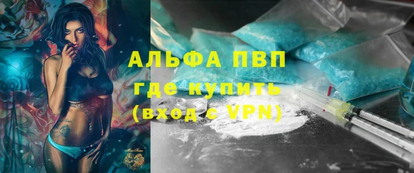 прущие грибы Каменск-Шахтинский