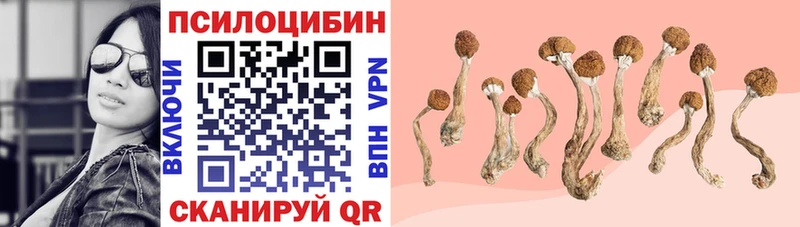 Псилоцибиновые грибы Cubensis  Купить закладки  Свирск 